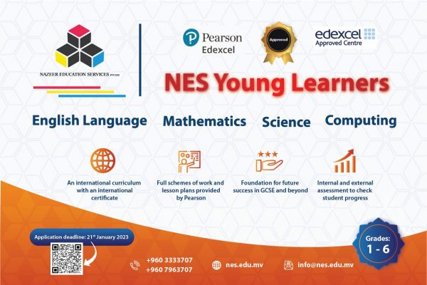 NES YL